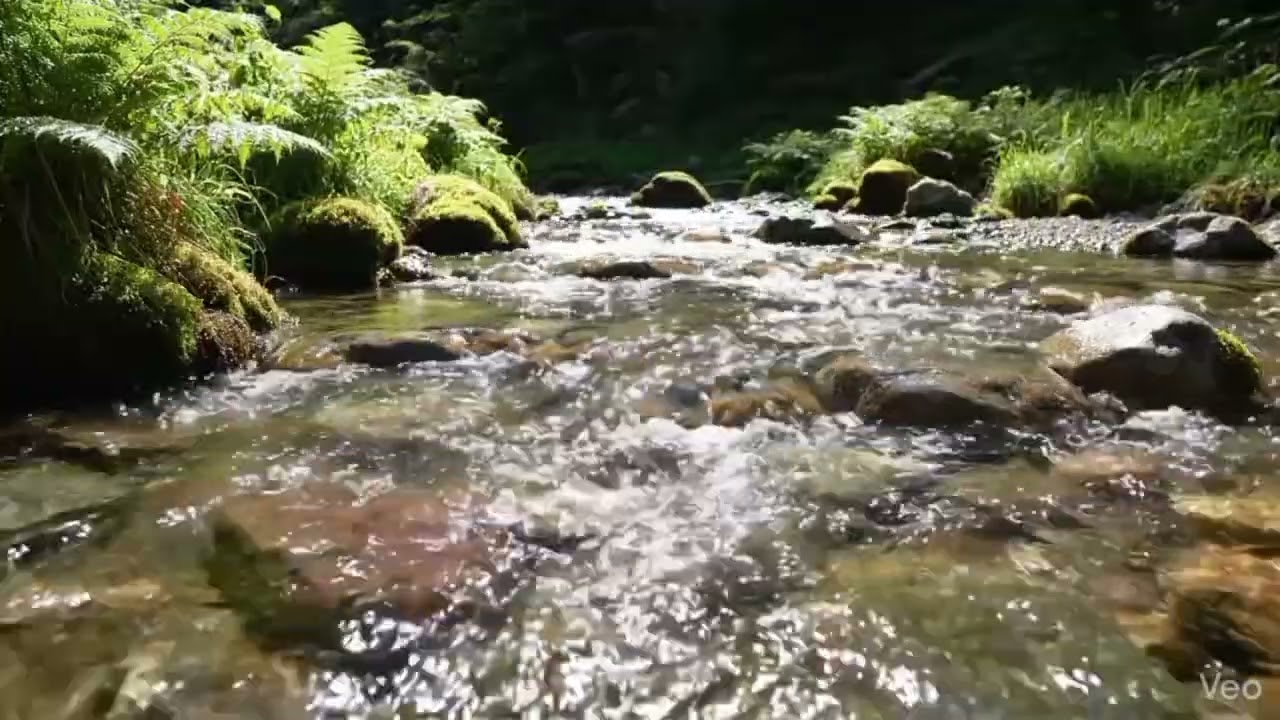 Relaxing River Sounds for Deep Sleep 💧 No Music 1 Hours