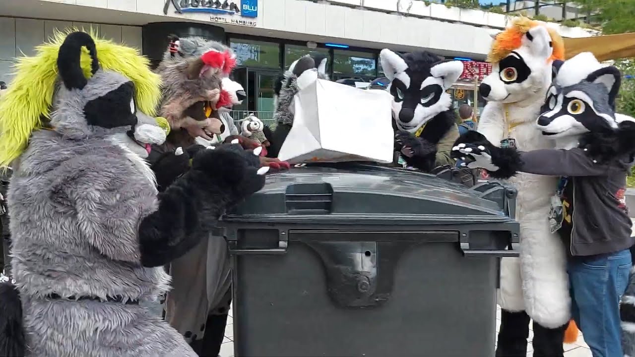 Eurofurence Raccoon and Ringed Tail M&G was the wildest event at the whole 