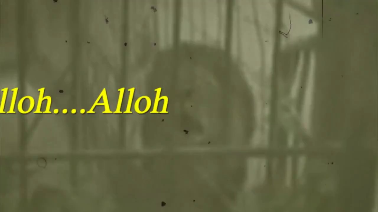 Subhanallah !! Detik detik Singa MENGAUM Berdzikir 'Alloh   Alloh   Alloh  '