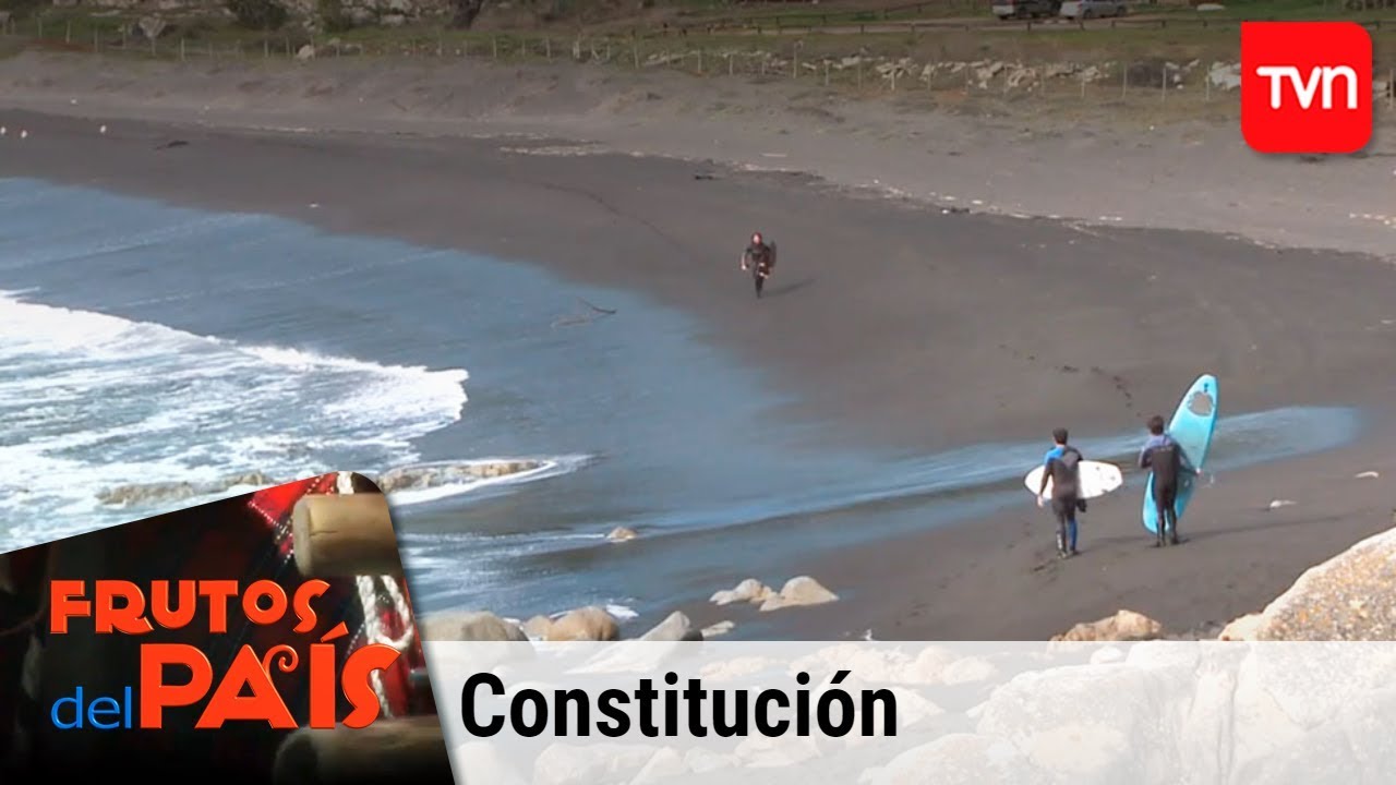 Frutos del país | Constitución