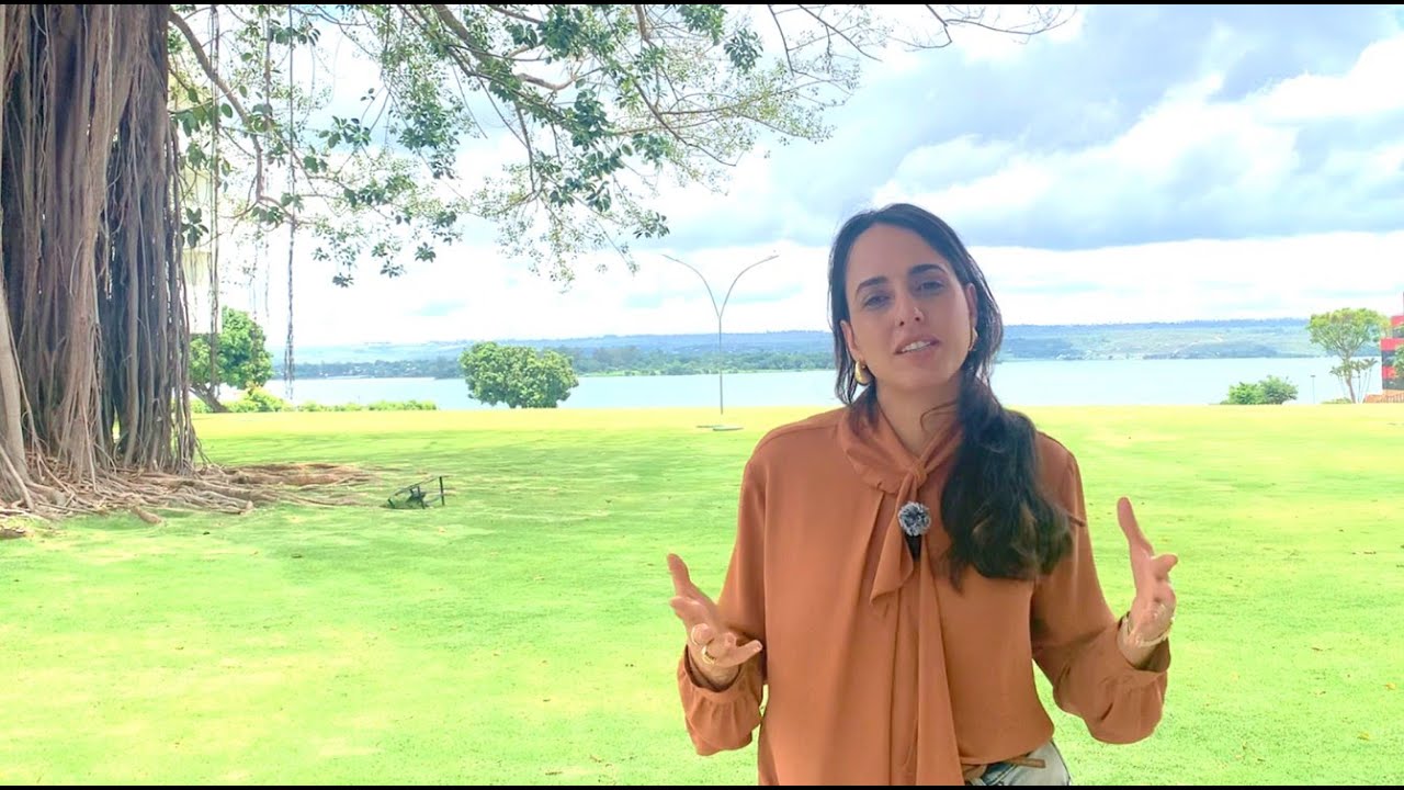 Impact Stories: Brazilian Coalition on Climate, Forests and Agriculture