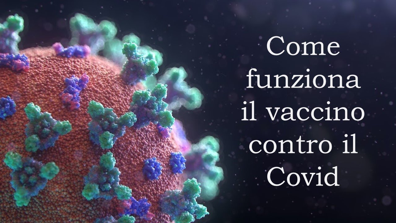Come funziona il vaccino contro il Covid della Pfizer