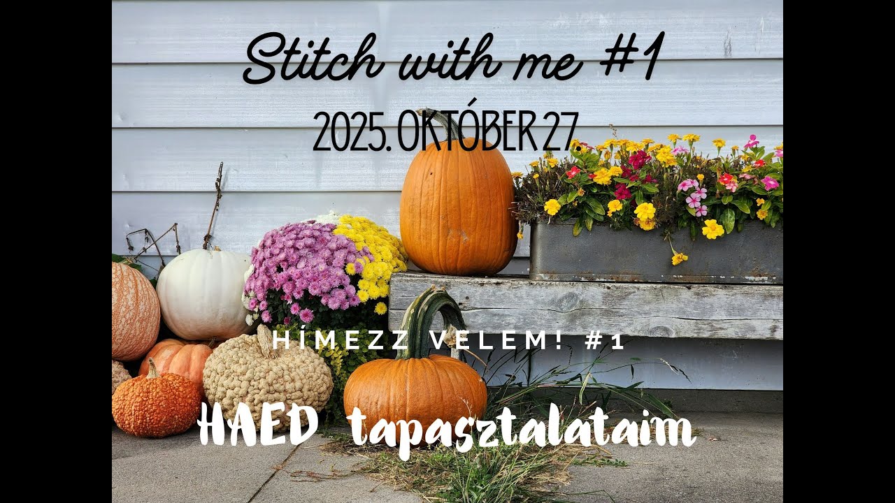Himezz velem ‐ HAED tapasztalataim