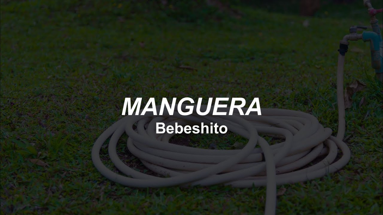 bebeshito - manguera // lyrics