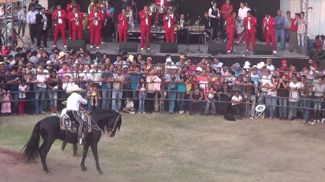 Ezequiel Peña - Corrido de Juan Martha