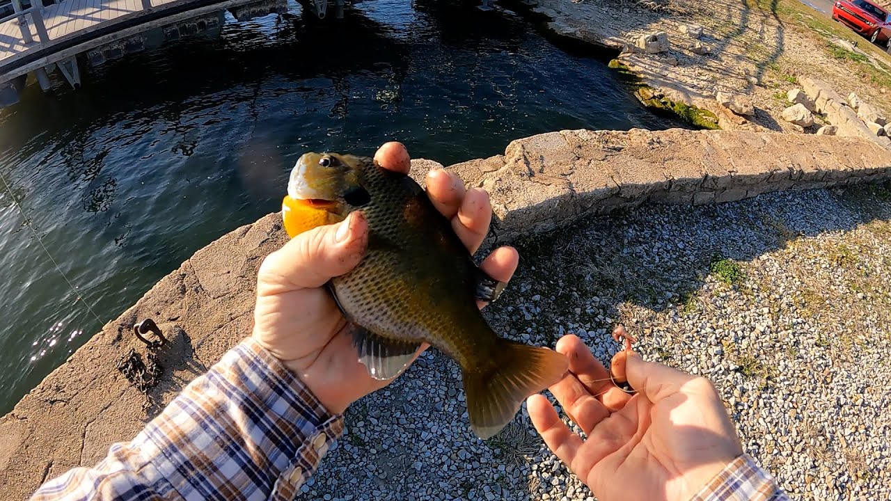 Setting up the DIY Bait Tank/Catching Bluegill