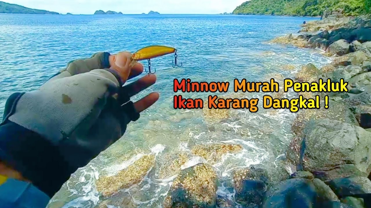 Minnow Murah Killer Cocok Banget Untuk Casting Di Pinggiran Laut Karang Dangkal !