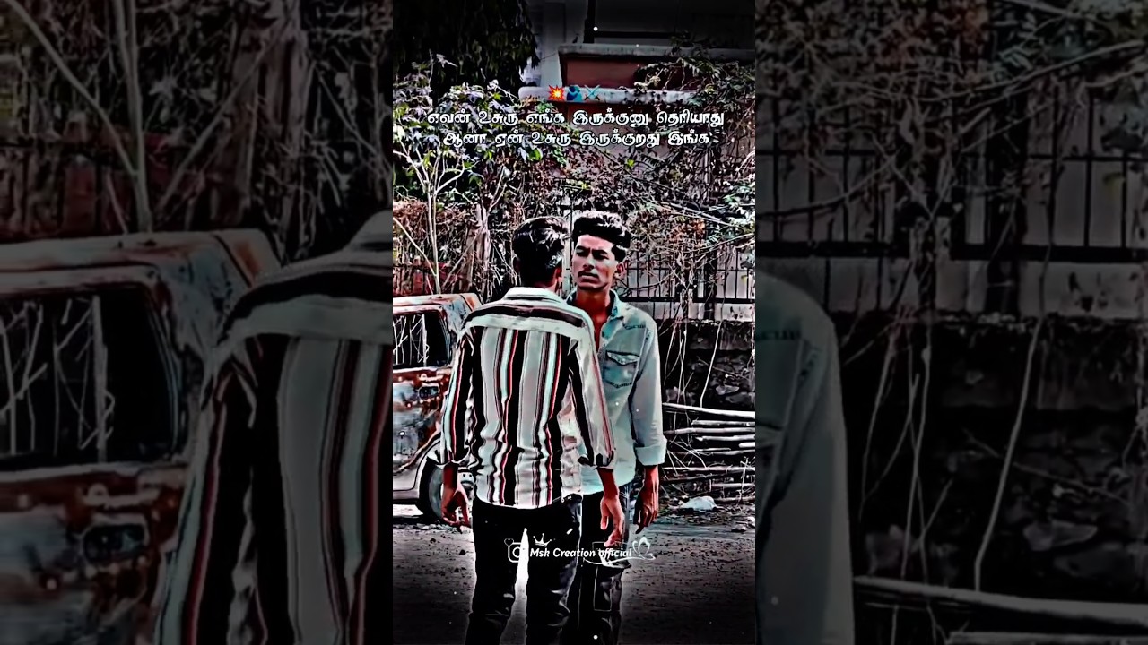 𝐅𝐫𝐢𝐞𝐧𝐝𝐬𝐡𝐢𝐩💓𝐠𝐚𝐧𝐚💝𝐬𝐨𝐧𝐠 𝐰𝐡𝐚𝐭𝐬𝐀𝐩𝐩 🥰𝐭𝐚𝐭𝐮𝐬|𝐌𝐒𝐊 𝐂𝐑𝐄𝐀𝐓𝐈𝐎𝐍|