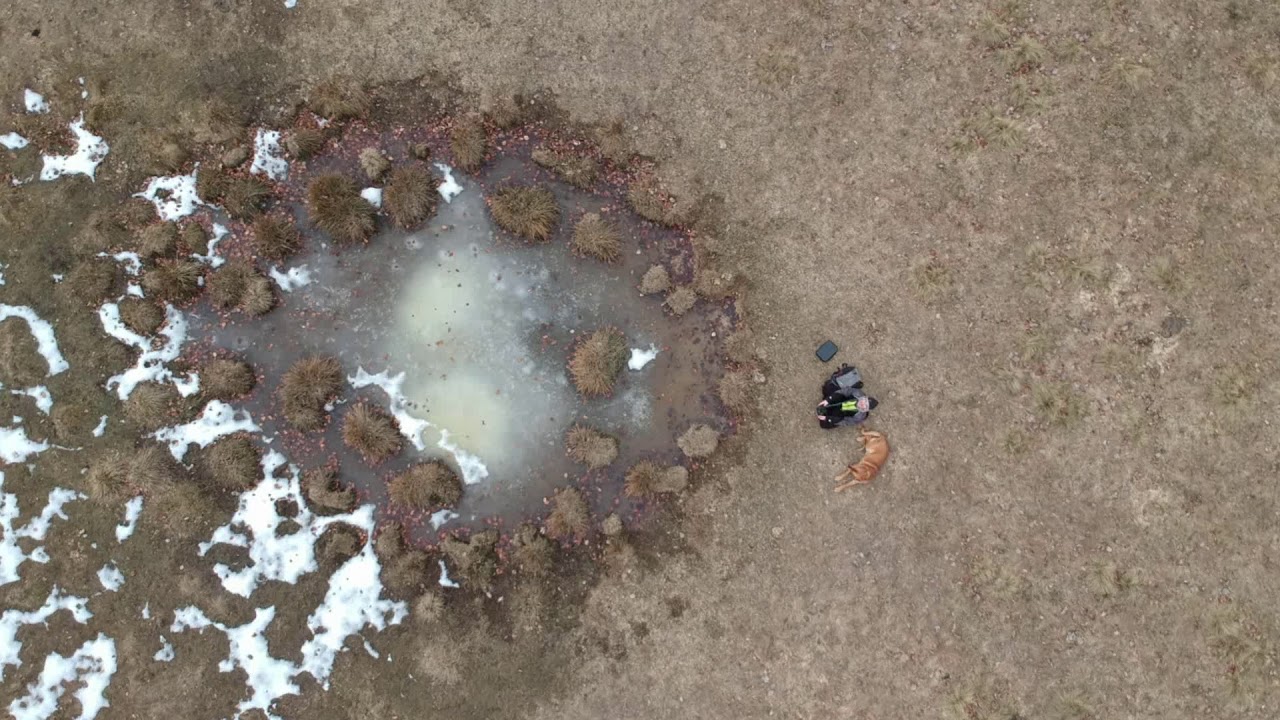 10.3.2019