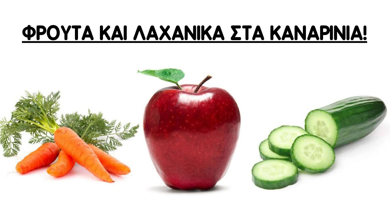 ΤΑ ΦΡΟΥΤΑ ΚΑΙ ΤΑ ΛΑΧΑΝΙΚΑ ΠΟΥ ΠΡΕΠΕΙ ΝΑ ΔΙΝΟΥΜΕ ΣΤΑ ΚΑΝΑΡΙΝΙΑ ΜΑΣ