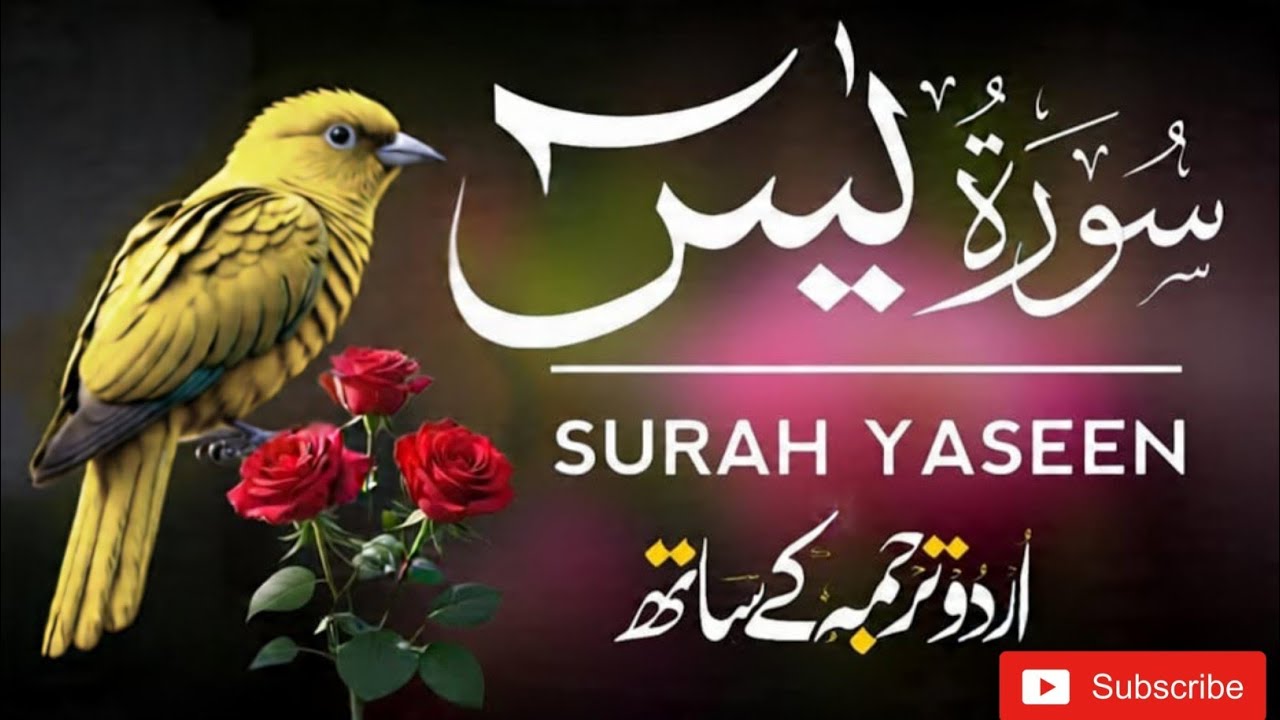 Surah Yaseen (سورة يس) | Morning Quran Recitation | Heart Soothing Tilawat | Healing & Peace Ep 752