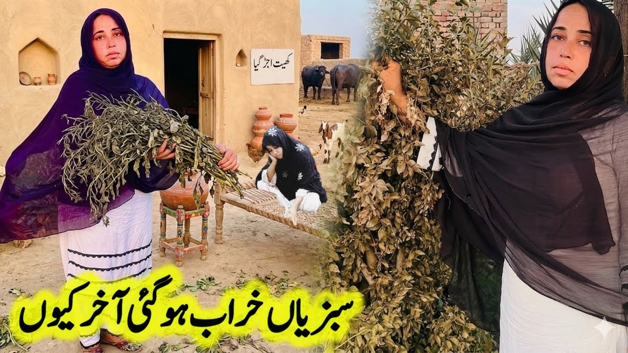 Village Life style In Pakistan | Daily Life Of Pakistani Women In The village |Fozia Baji 