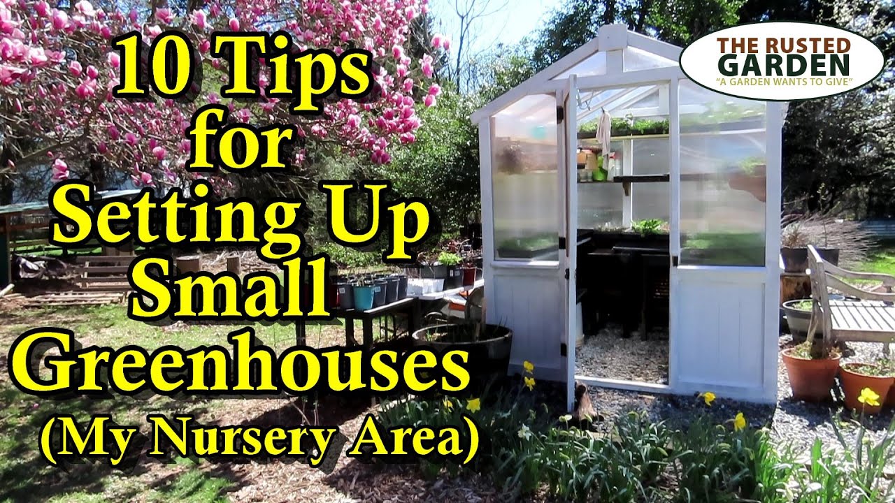 10 Tips for Setting Up Your Greenhouse & Nursery Area for Growing Garden Vegetables, Herbs & Flowers