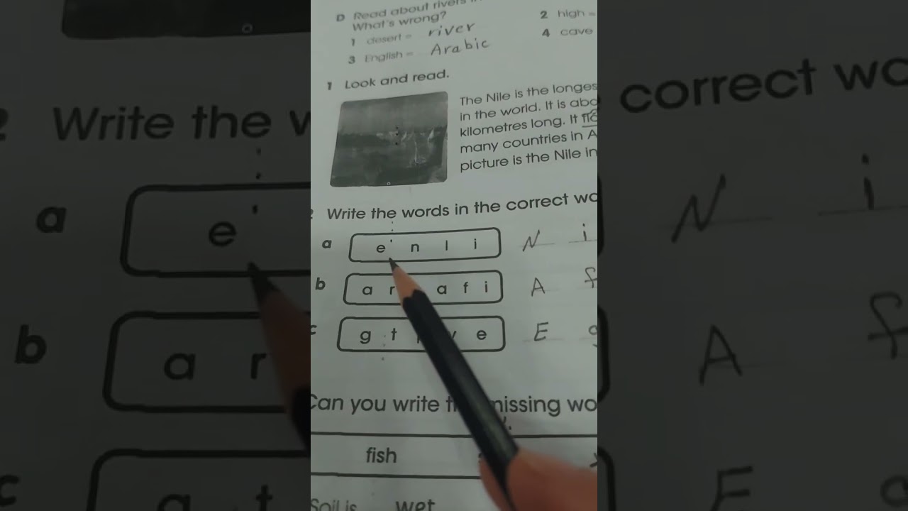 كتاب النشاط انكليزي للصف الرابع الإبتدائي/ Unit 5  Lesson 5