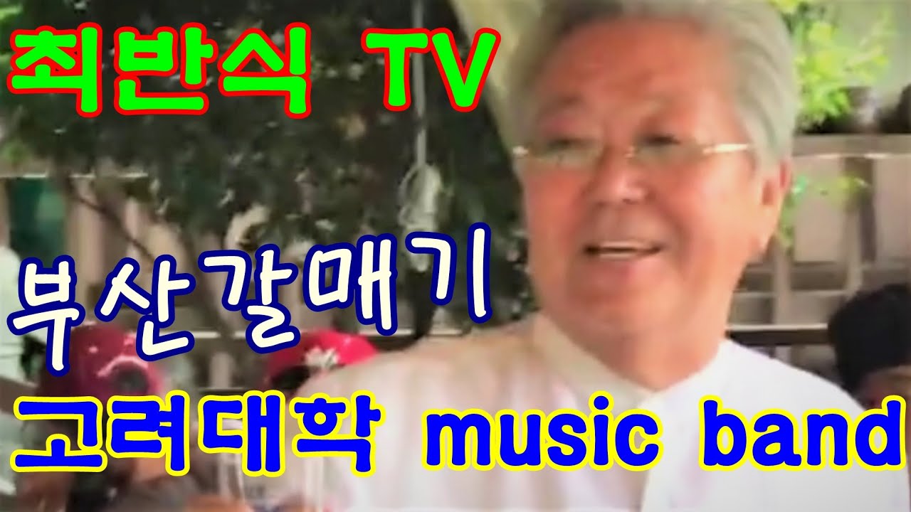 고려대학 MUSIC BAND/최반식, 부산 갈매기/영상 홍종무/ Cover by 왕세창