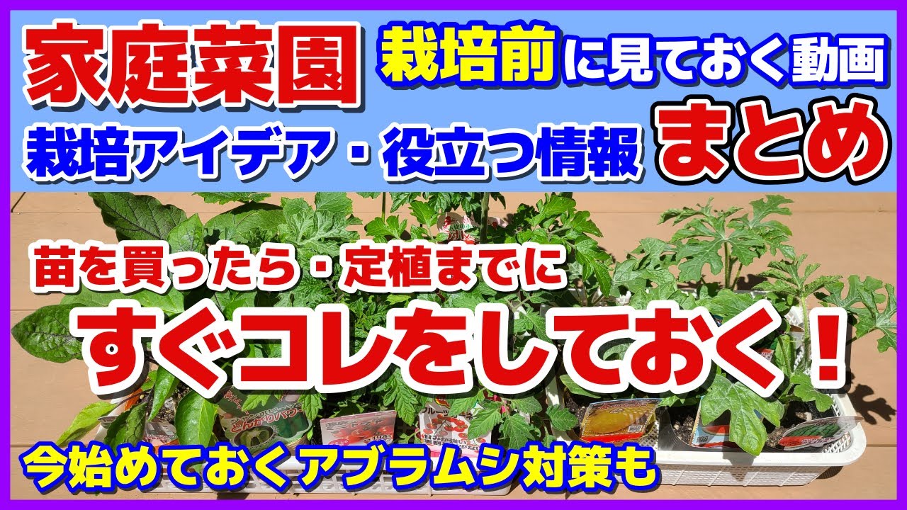 【栽培前完全ガイド】【概要欄に目次】苗を購入したらすぐコレをやる！＆家庭菜園ならではの栽培アイデア／トマト・ナス・ピーマン・スイカ・カボチャ／おすすめ品種・味感想／鉢増し／アブラムシや害虫ナメクジ対策
