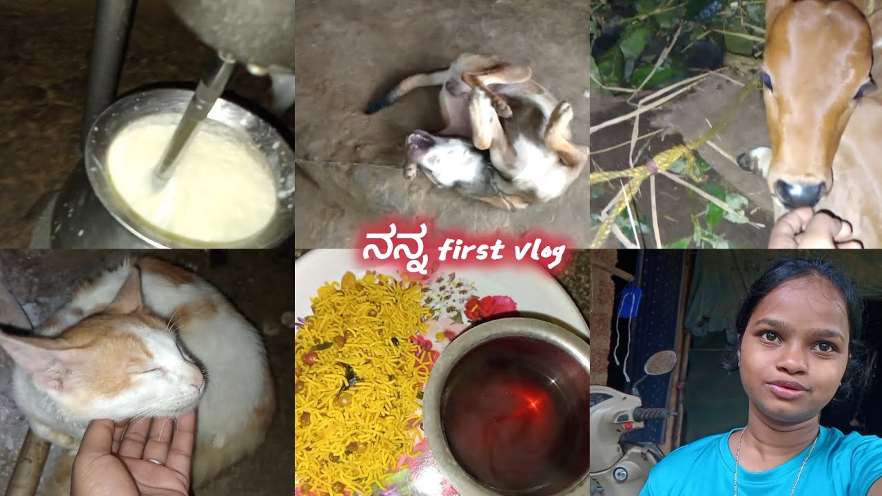 ಇದು ನನ್ನ first vlog |ನವರಾತ್ರಿಯ ಸಮಯದಲ್ಲಿ ಶುರು ಮಾಡಿದ್ದು |#kannadavlog 