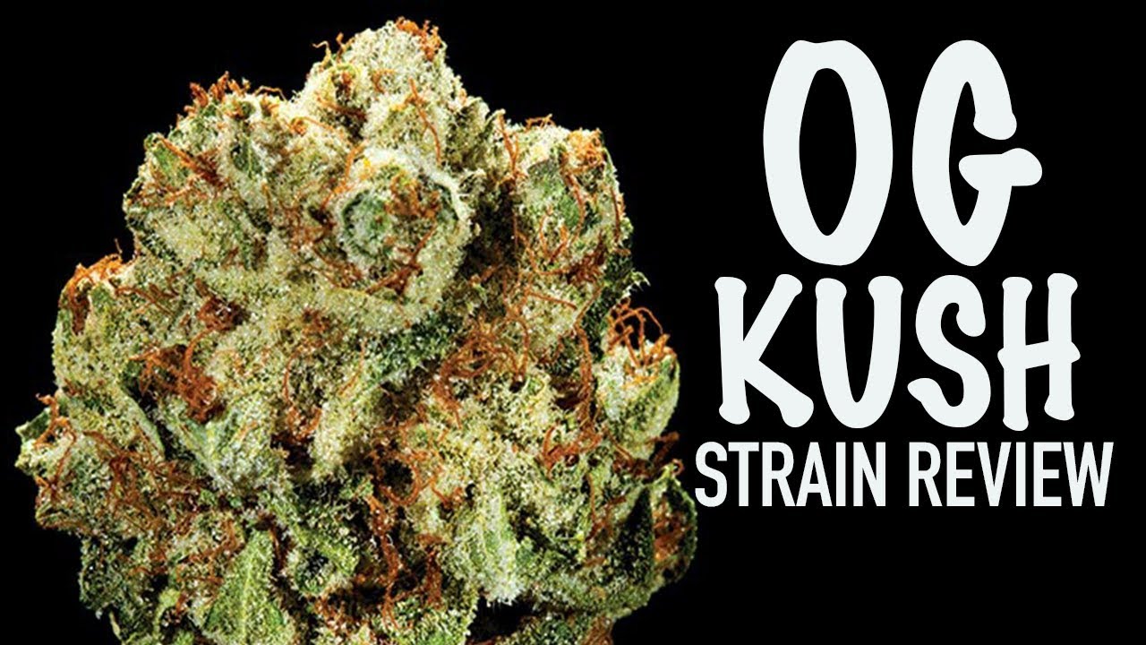 OG KUSH STRAIN REVIEW