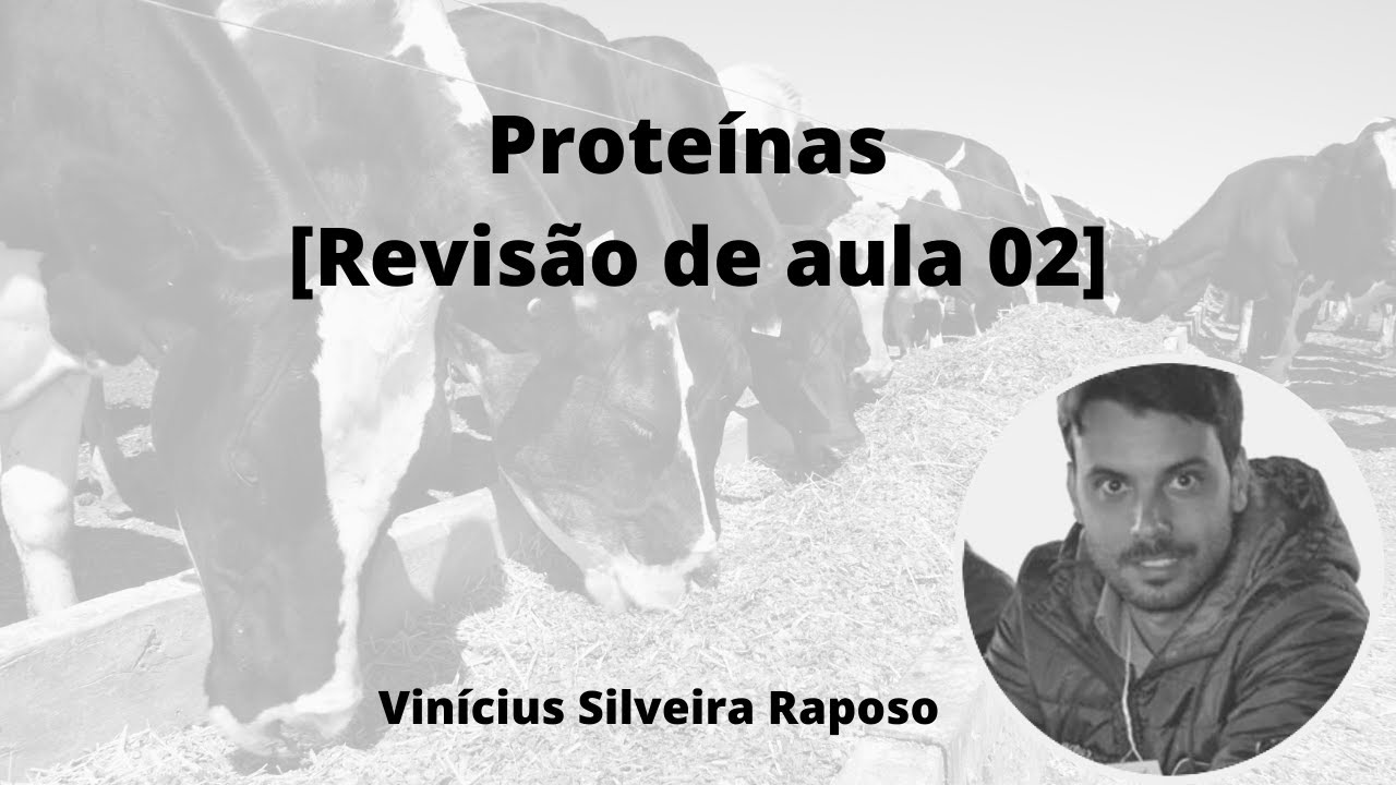 Proteína_Visão geral para ruminantes