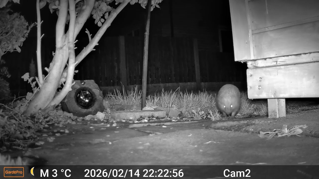 2026 02 14 2119 to 2026 02 15 0610