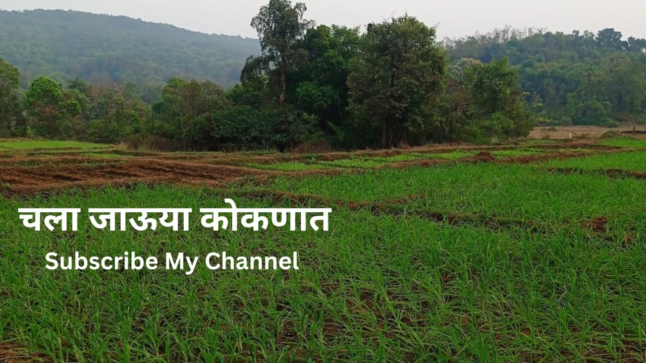 Chala Jauya Kokanat ❤️ #kokan #malvan #dailyvlog #viralvlog #kokanvibes #Sakahivithdailynewdiaries 