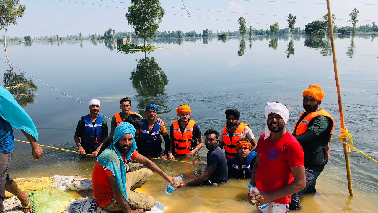 Punjab flood 2019 /youth doing sewa  on satluj river