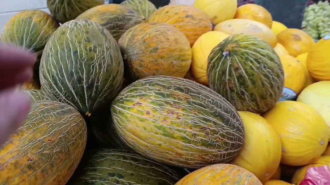 شركت معكم  مارشي. puces. ديال  الخضر  في. مارسيليا