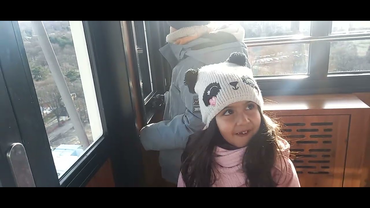 Viyana tarihi dönme dolabından