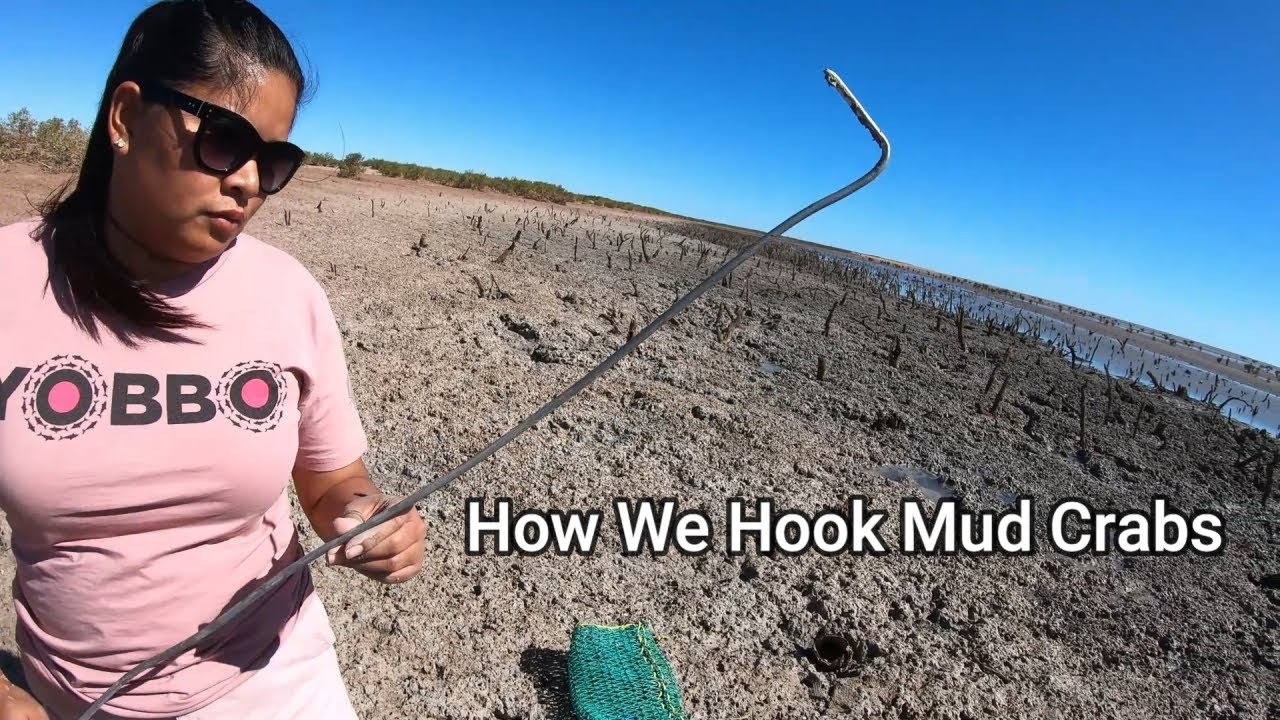 How we hook mud crabs (Western Australia)