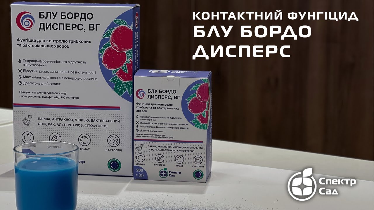 Блу Бордо Дисперс - що це за препарат, і як його використовувати?