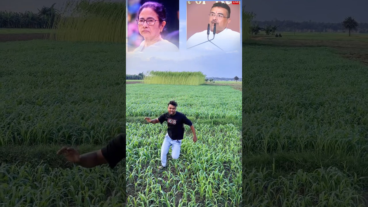 মমতা ব্যানার্জীরকে নাকি রাস্তায় ￼বিরাতে #news দিবেনা #tending #viral #politics #￼ Mamata Banerjee ￼