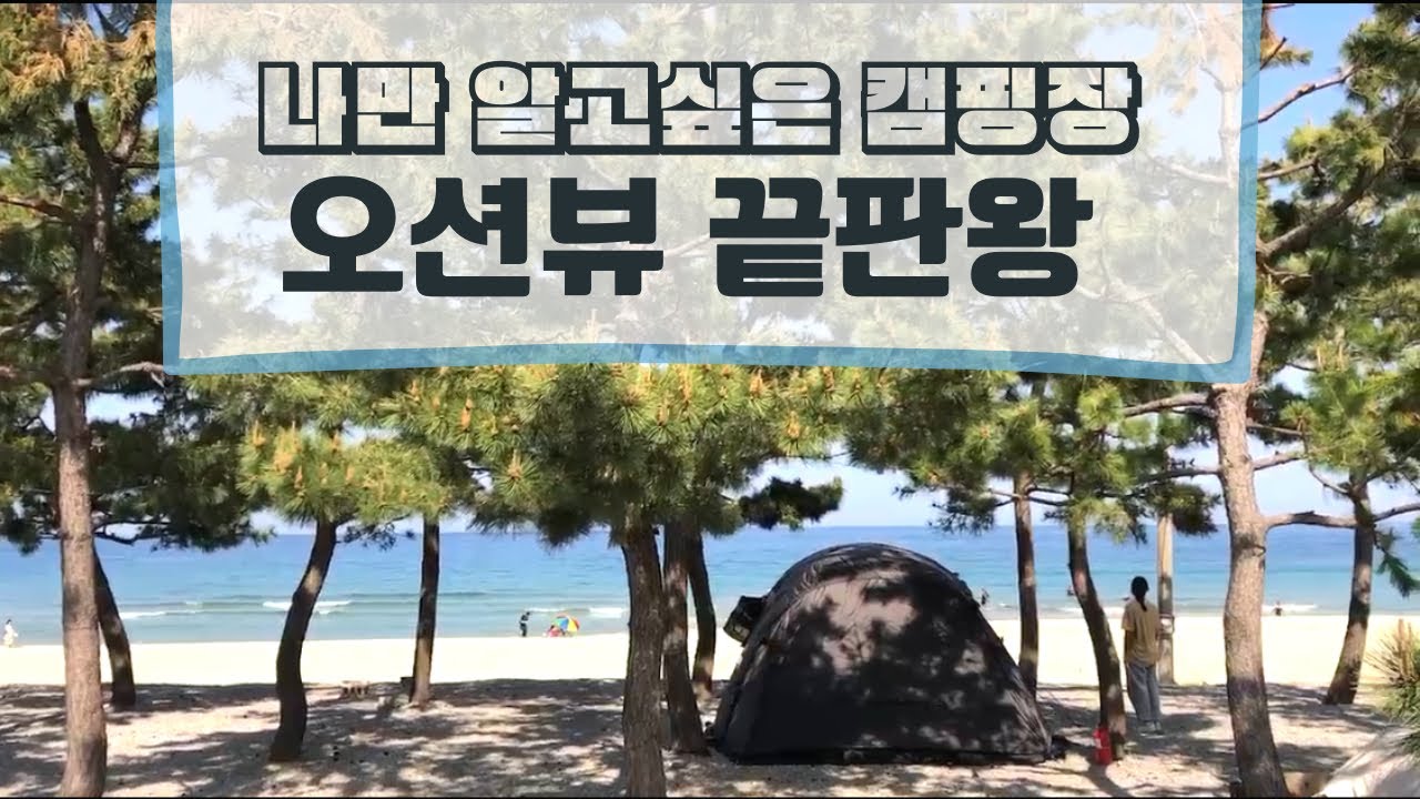 오션뷰 끝판왕/양양죽도캠핑장/나만알고싶은캠핑장/해변까지3초
