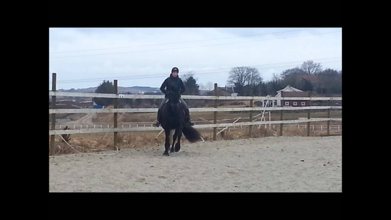 Frieser i trening p&aring; Soma - tilbyr passage :)