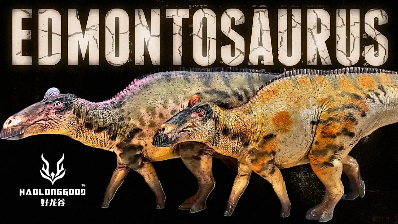 Haolonggood Edmontosaurus Review!!! Both versions!!!
