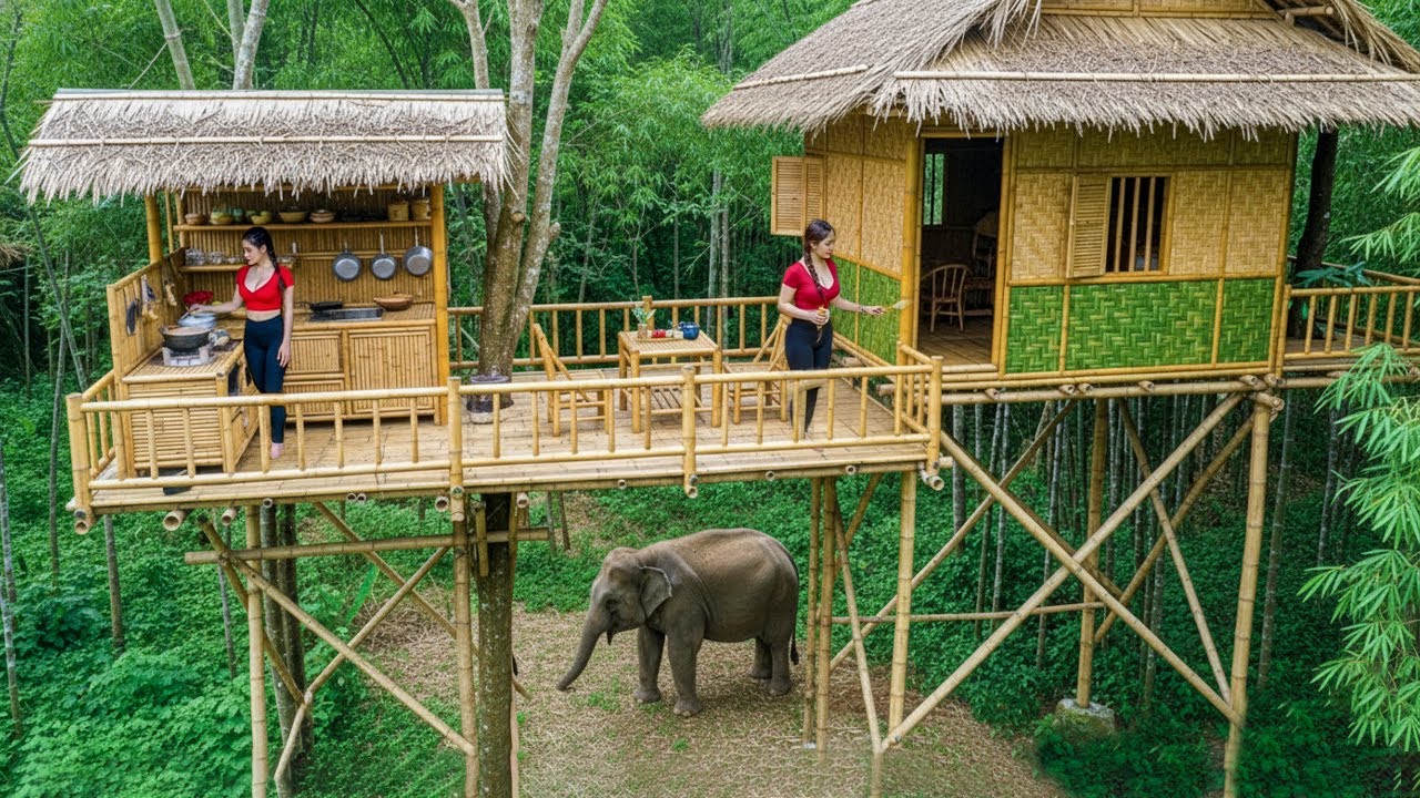 Bamboo Tree House Adventure Begins | From Zero to Paradise (TIMELAPSE)