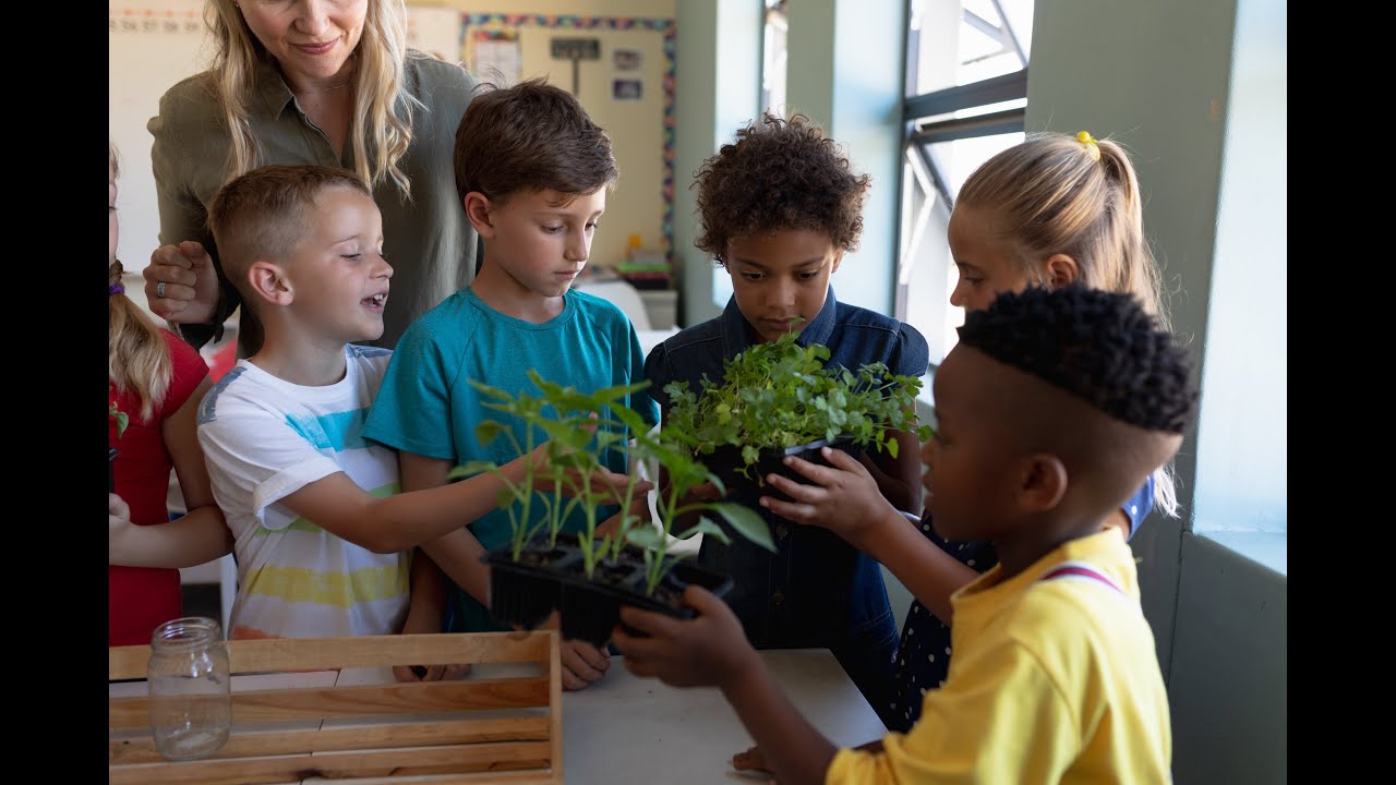 Enhancing Student Engagement with Project Based Learning