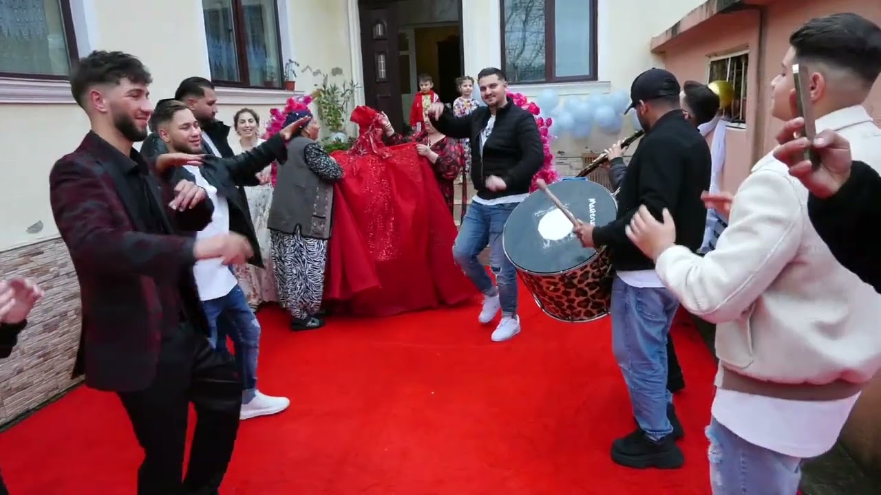 logodna rua constanta