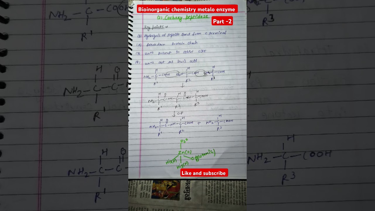 Bioinorganic chemistry||Metalo enzyme||Carboxy peptidase||Structure and function for exam bsc ,msc