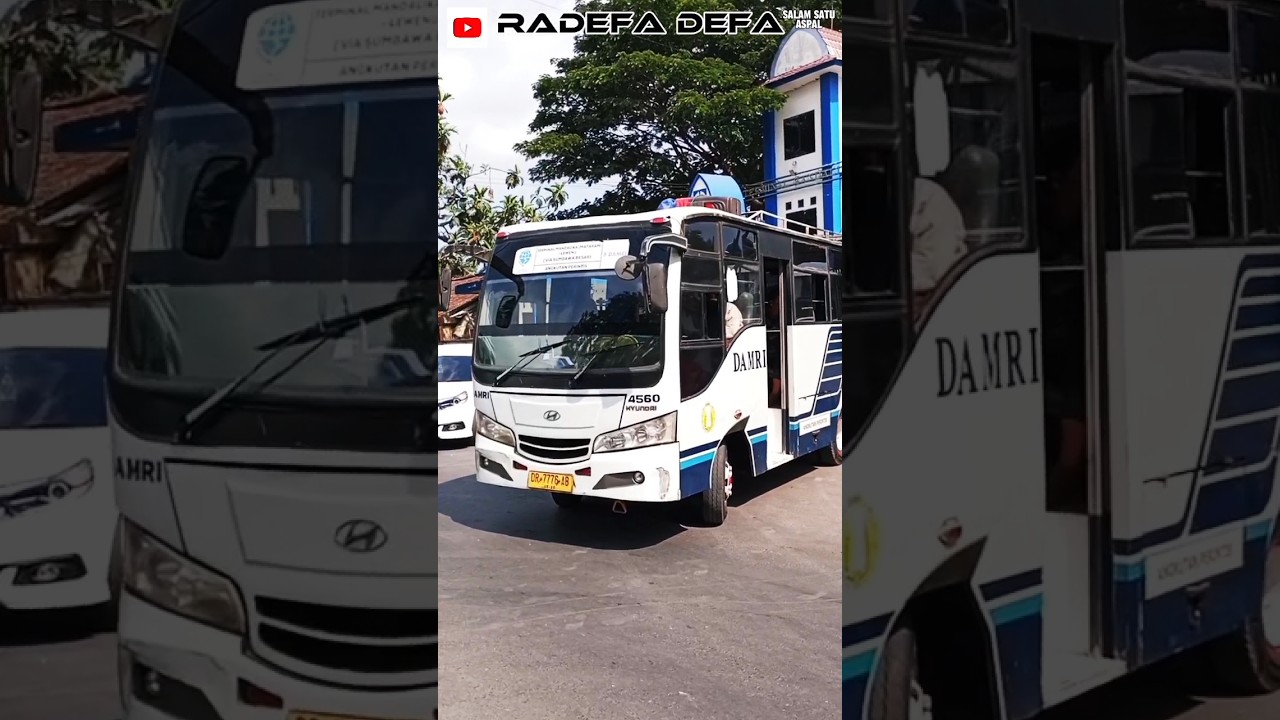 BUS DAMRI hyunori 4560#shorts_video