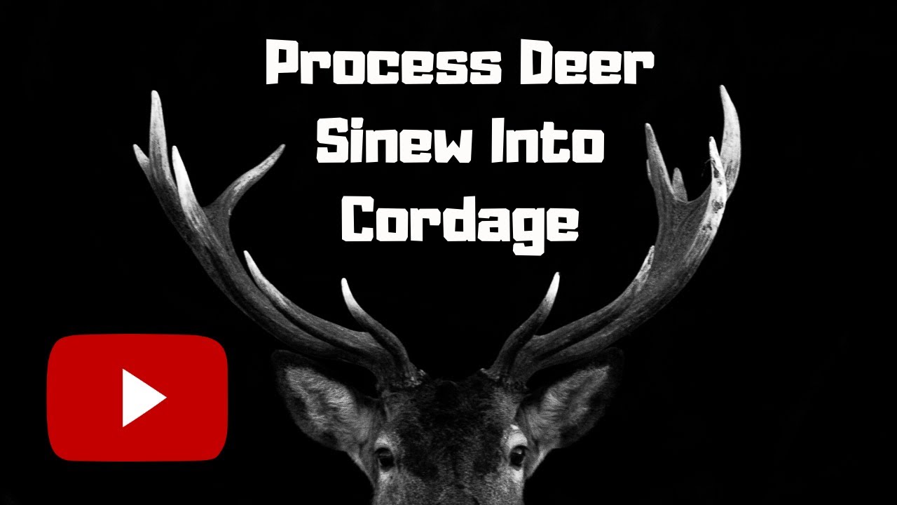 Process Deer Sinew Into Cordage