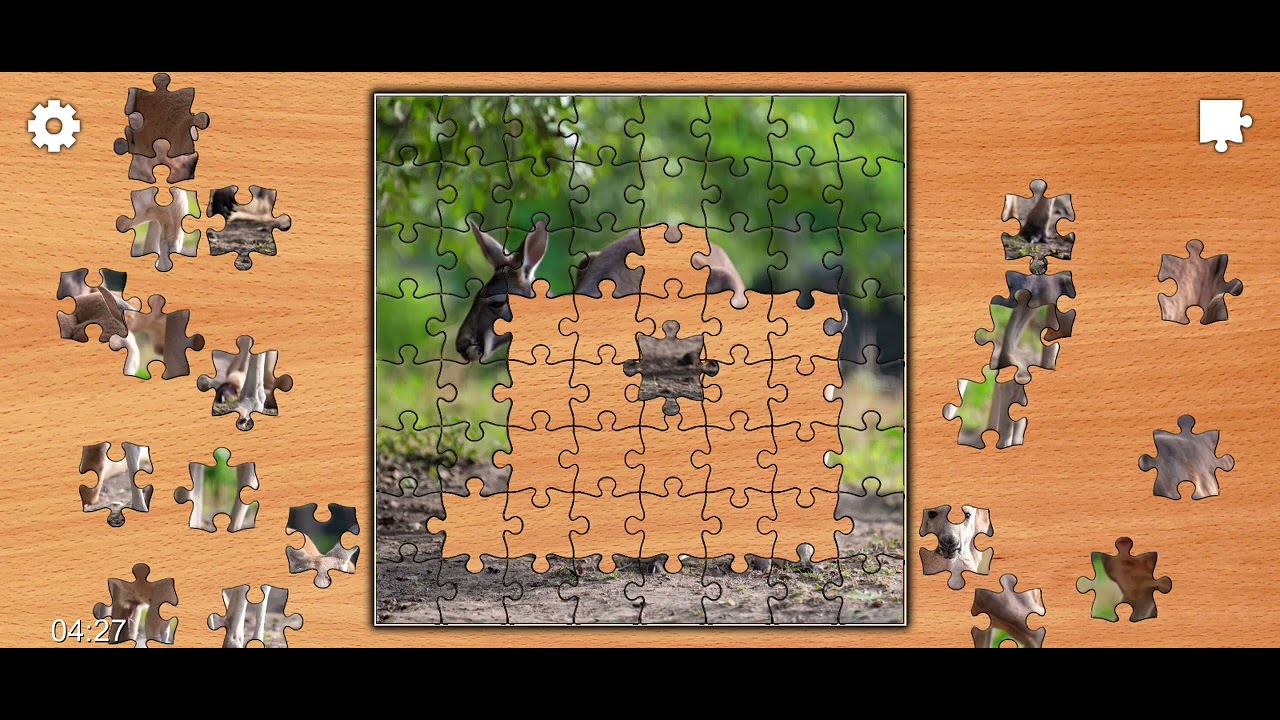 Jigsaw Puzzle Beautiful Kangaroo 🦘🦘 Solution 🎮 🎯 🧩🗝️@Puzzlegameiq123##