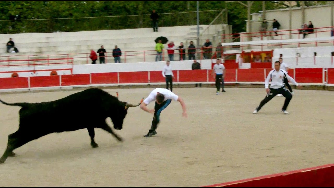 Rétrospective Ecole Taurine de Châteaurenard 2016