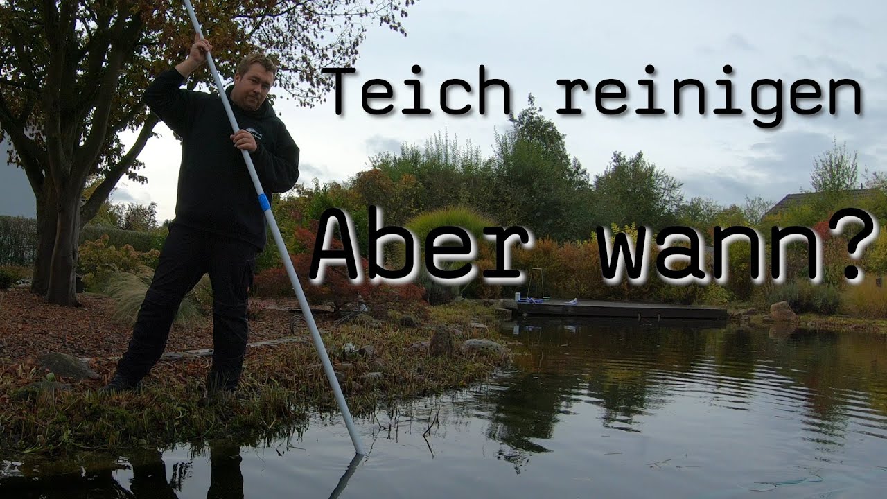 Die Teichreinigung...wann Blog 50