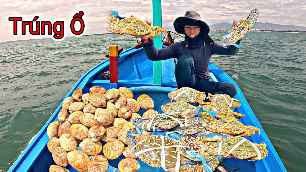 Lâu Lắm Rồi Mới Gặp Ổ Ghẹ Sò Dương Nhiều Đến Vậy Lặn Ở Điểm Tàu Hai Anh Em Kiếm Tiền Triệu | P 883