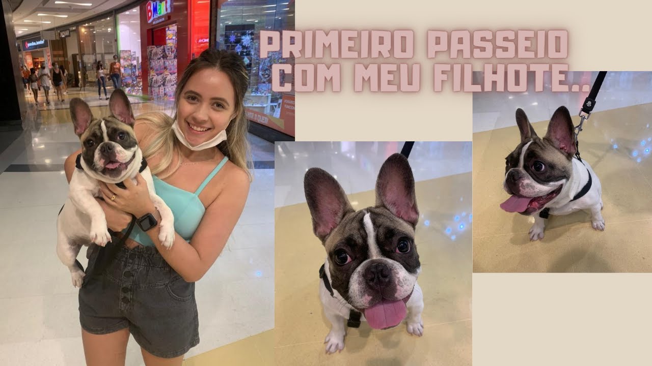 PRIMEIRO PASSEIO DO MEU FILHOTE!!!