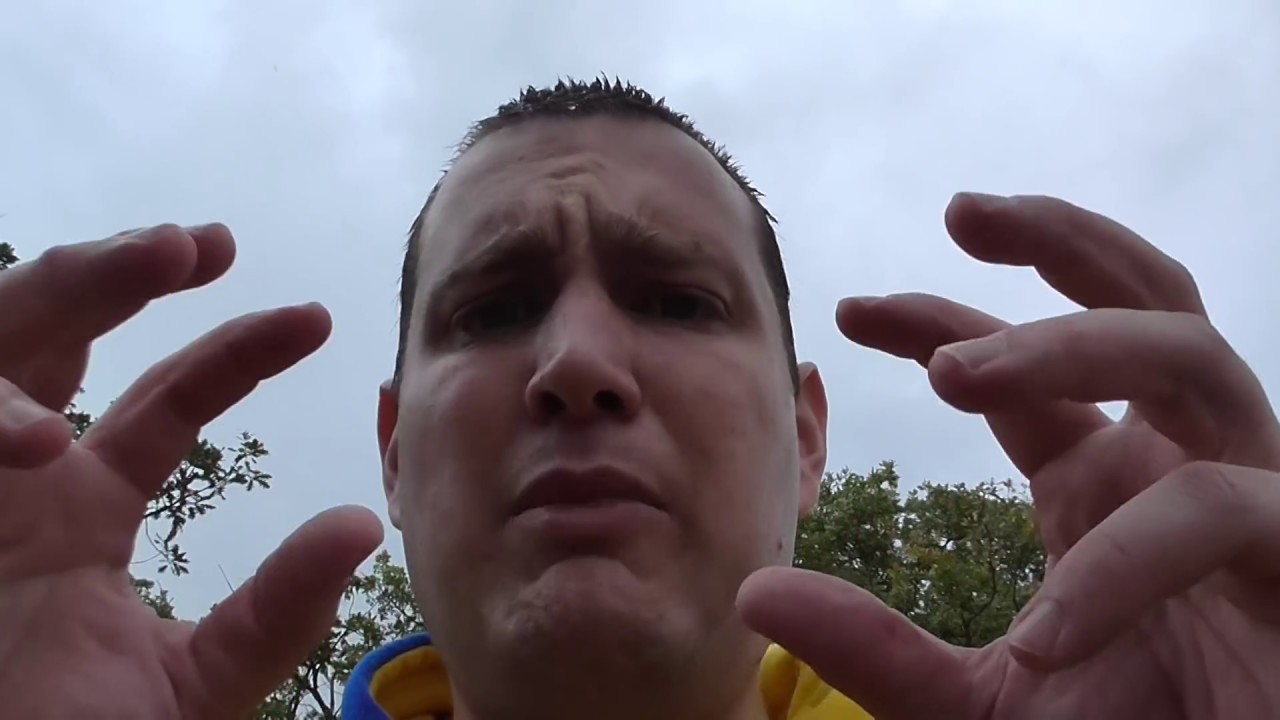 Araña plutón (Uroctea durandi). Una araña muy interesante. GONZALO.