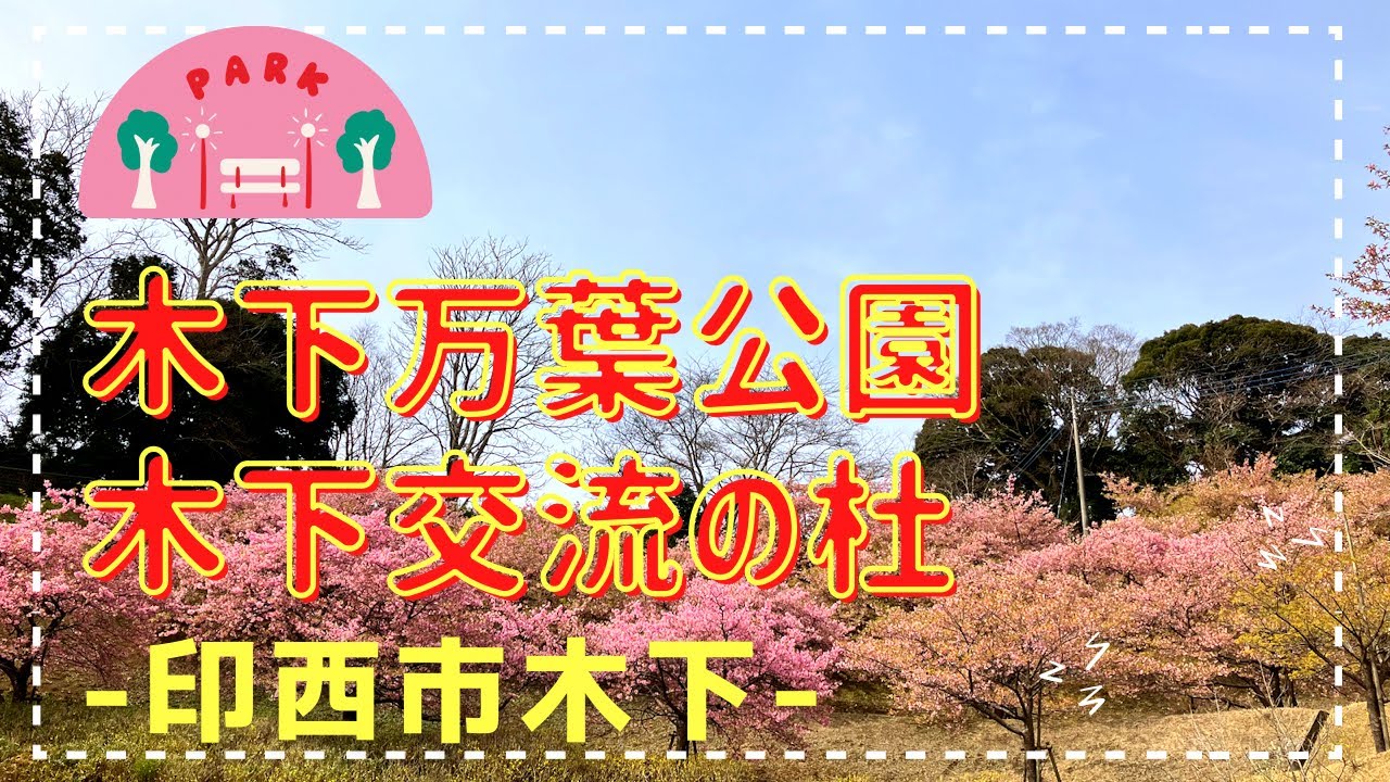 【印西市】河津桜も綺麗!木下万葉公園 木下交流の杜