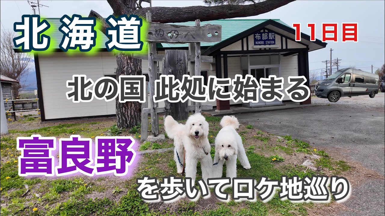 【富良野の唯我独尊カレー合言葉はルールルルルル？】50代夫婦と大型犬2頭の全53日車中泊旅！＃北海道＃富良野＃北の国から