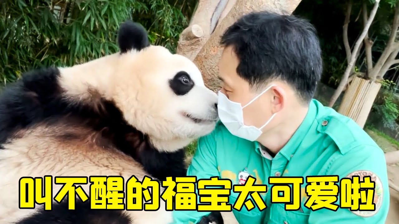犯困的福宝太萌啦~宋爷爷怎么叫也叫不醒~小眼睛根本睁不开~【牧场时间】