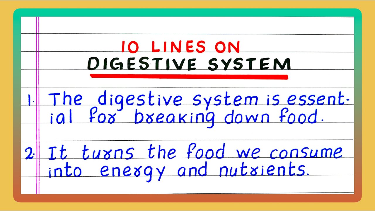 Few Lines on Digestive System | 10 Lines on Digestive System